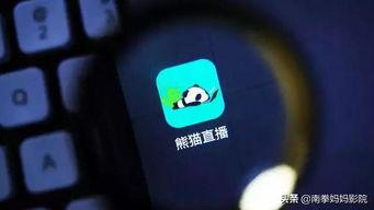 上腾娱乐为什么倒闭,行业变革下的兴衰之路