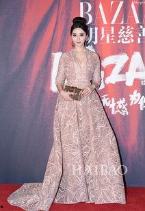 芭莎明星慈善夜2014,星光熠熠，爱心闪耀